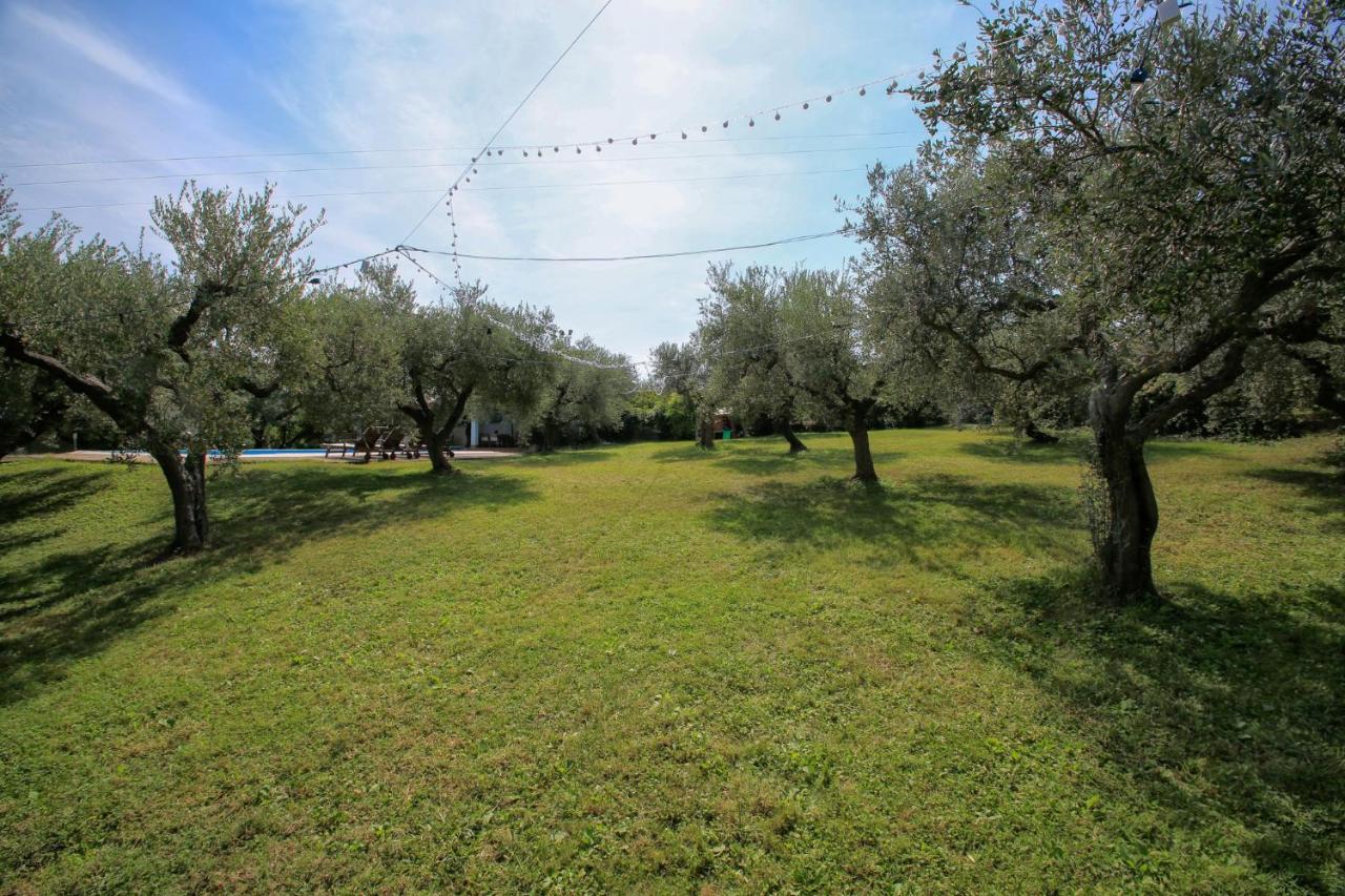 B&B Arli Torrevecchia Teatina Exterior photo